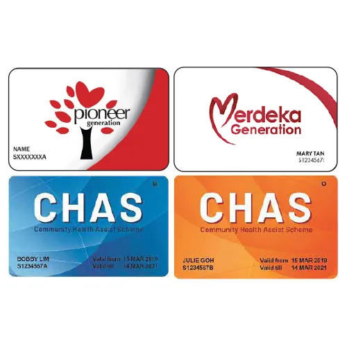 pioneer merdeka chas card